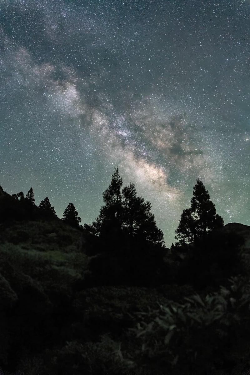 Stellar Soiree